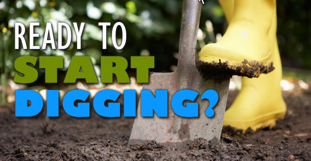 Start Digging